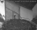 Capi_Dubne_20250331_200002.jpg