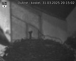 Capi_Dubne_20250331_201502.jpg
