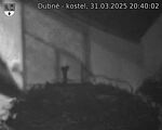 Capi_Dubne_20250331_204003.jpg