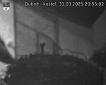Capi_Dubne_20250331_205502.jpg