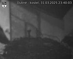 Capi_Dubne_20250331_234003.jpg