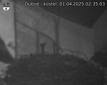 Capi_Dubne_20250401_023503.jpg