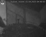 Capi_Dubne_20250401_044003.jpg
