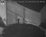 Capi_Dubne_20250401_054002.jpg