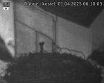 Capi_Dubne_20250401_061003.jpg
