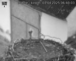 Capi_Dubne_20250401_064003.jpg