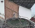 Capi_Dubne_20250401_083502.jpg