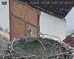 Capi_Dubne_20250401_103003.jpg