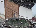 Capi_Dubne_20250401_105503.jpg