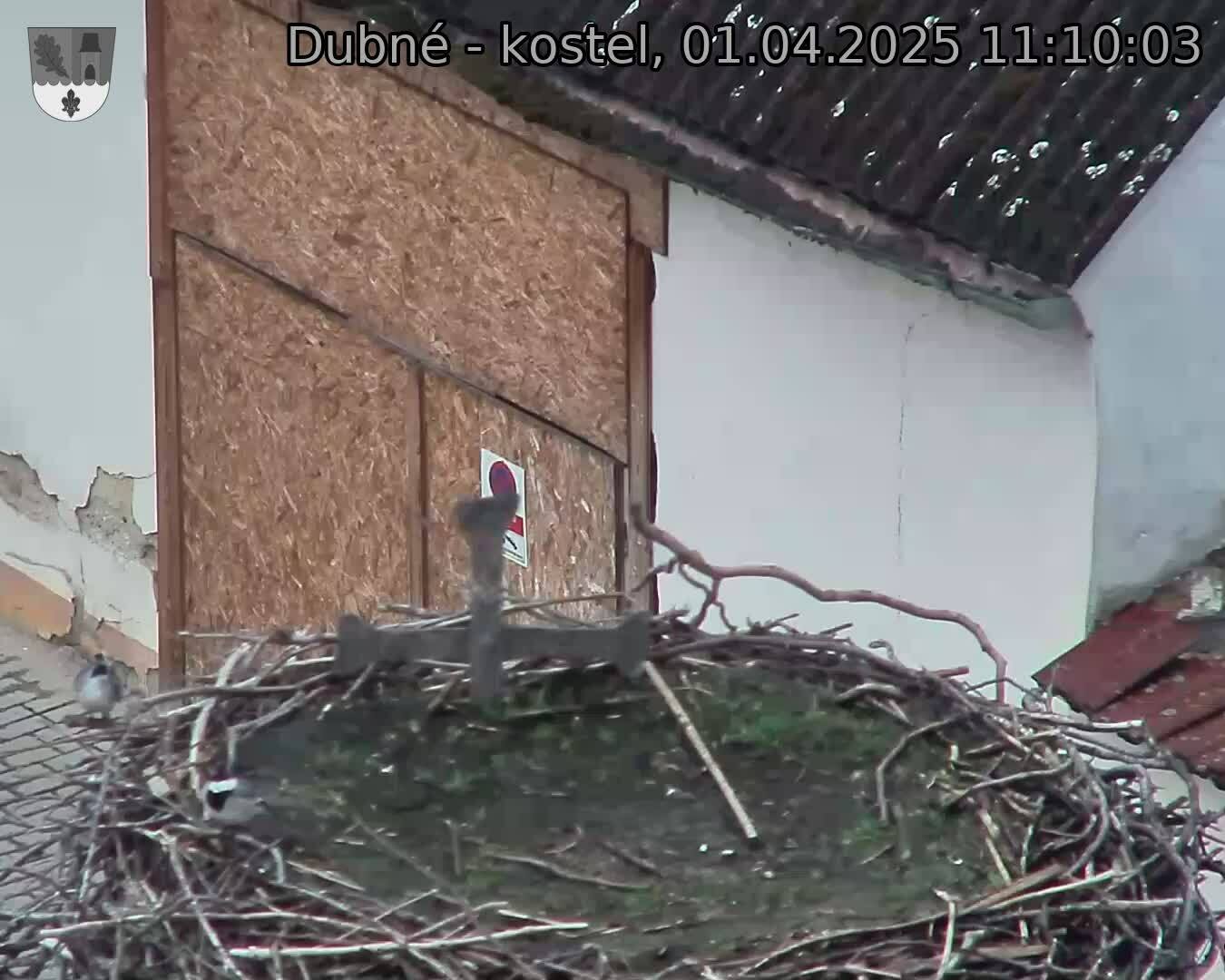 Capi_Dubne_20250401_111003.jpg (1350 x 1080)