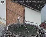 Capi_Dubne_20250401_115503.jpg