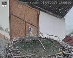 Capi_Dubne_20250401_120002.jpg