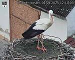 Capi_Dubne_20250401_121003.jpg