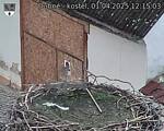 Capi_Dubne_20250401_121503.jpg