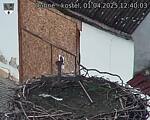 Capi_Dubne_20250401_124003.jpg