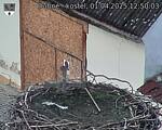 Capi_Dubne_20250401_125003.jpg