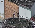 Capi_Dubne_20250401_130003.jpg