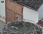 Capi_Dubne_20250401_131003.jpg