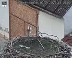 Capi_Dubne_20250401_131503.jpg