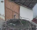 Capi_Dubne_20250401_132002.jpg