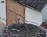 Capi_Dubne_20250401_132503.jpg