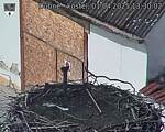 Capi_Dubne_20250401_133002.jpg
