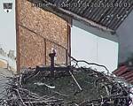 Capi_Dubne_20250401_134003.jpg