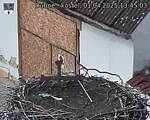 Capi_Dubne_20250401_134503.jpg