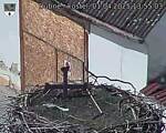 Capi_Dubne_20250401_135503.jpg