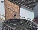 Capi_Dubne_20250401_141003.jpg