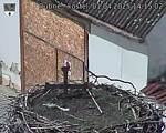 Capi_Dubne_20250401_141502.jpg
