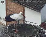 Capi_Dubne_20250401_142503.jpg