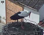 Capi_Dubne_20250401_143002.jpg