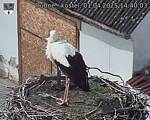 Capi_Dubne_20250401_144003.jpg