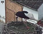 Capi_Dubne_20250401_144503.jpg