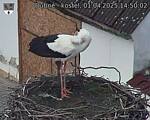 Capi_Dubne_20250401_145002.jpg