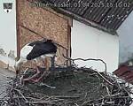 Capi_Dubne_20250401_151002.jpg