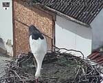 Capi_Dubne_20250401_151503.jpg