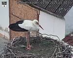 Capi_Dubne_20250401_153003.jpg