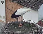 Capi_Dubne_20250401_155502.jpg