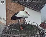Capi_Dubne_20250401_160502.jpg