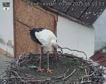 Capi_Dubne_20250401_161003.jpg