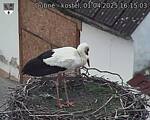 Capi_Dubne_20250401_161503.jpg