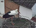 Capi_Dubne_20250401_162004.jpg