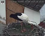 Capi_Dubne_20250401_162502.jpg