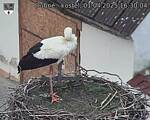 Capi_Dubne_20250401_163004.jpg