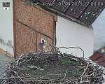 Capi_Dubne_20250401_170004.jpg