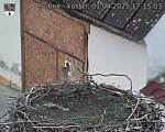 Capi_Dubne_20250401_171503.jpg