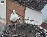 Capi_Dubne_20250401_173004.jpg