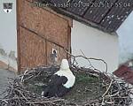 Capi_Dubne_20250401_175504.jpg